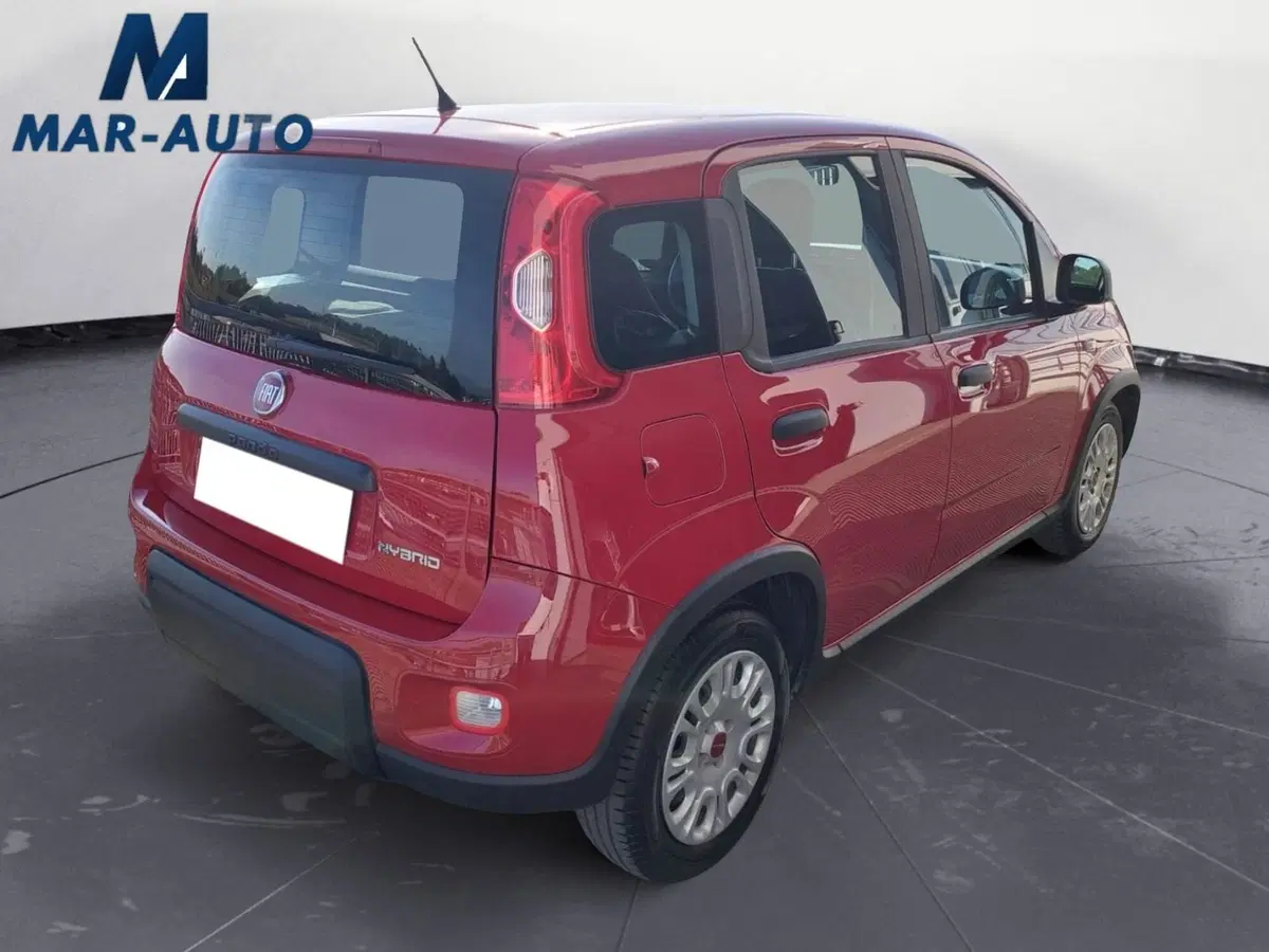 Fiat Panda Cross usata a Treviso (3)