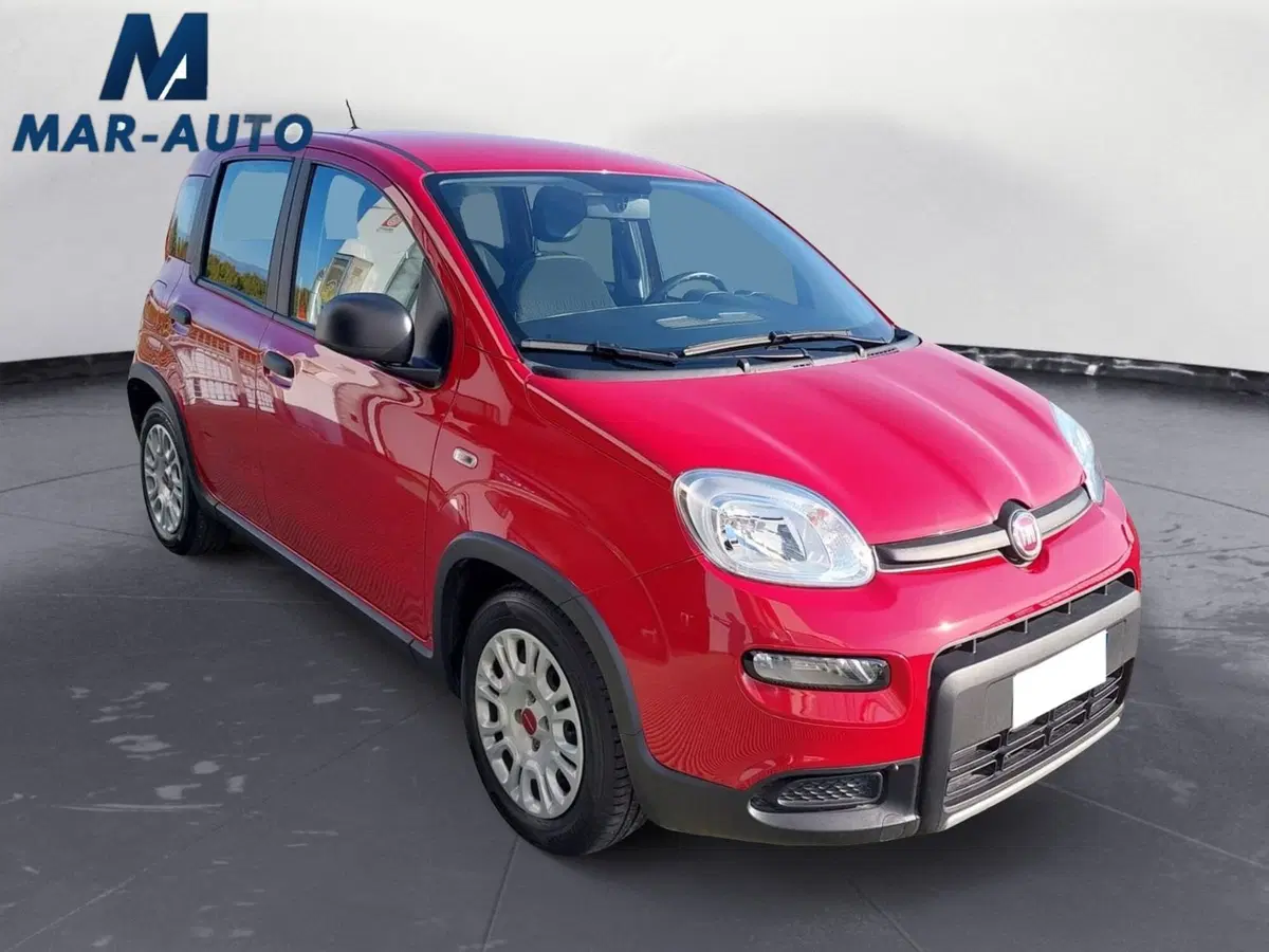 Fiat Panda Cross usata a Treviso (4)