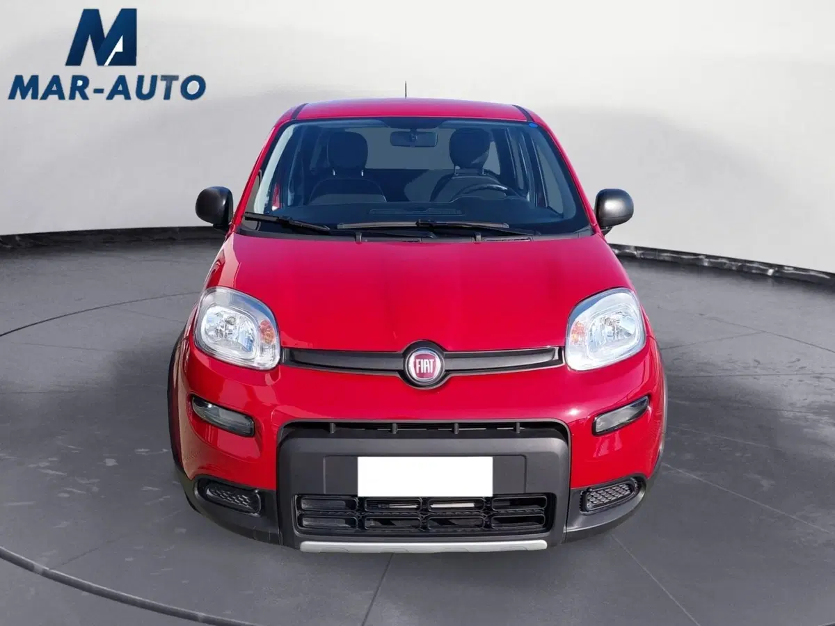 Fiat Panda Cross usata a Treviso (5)