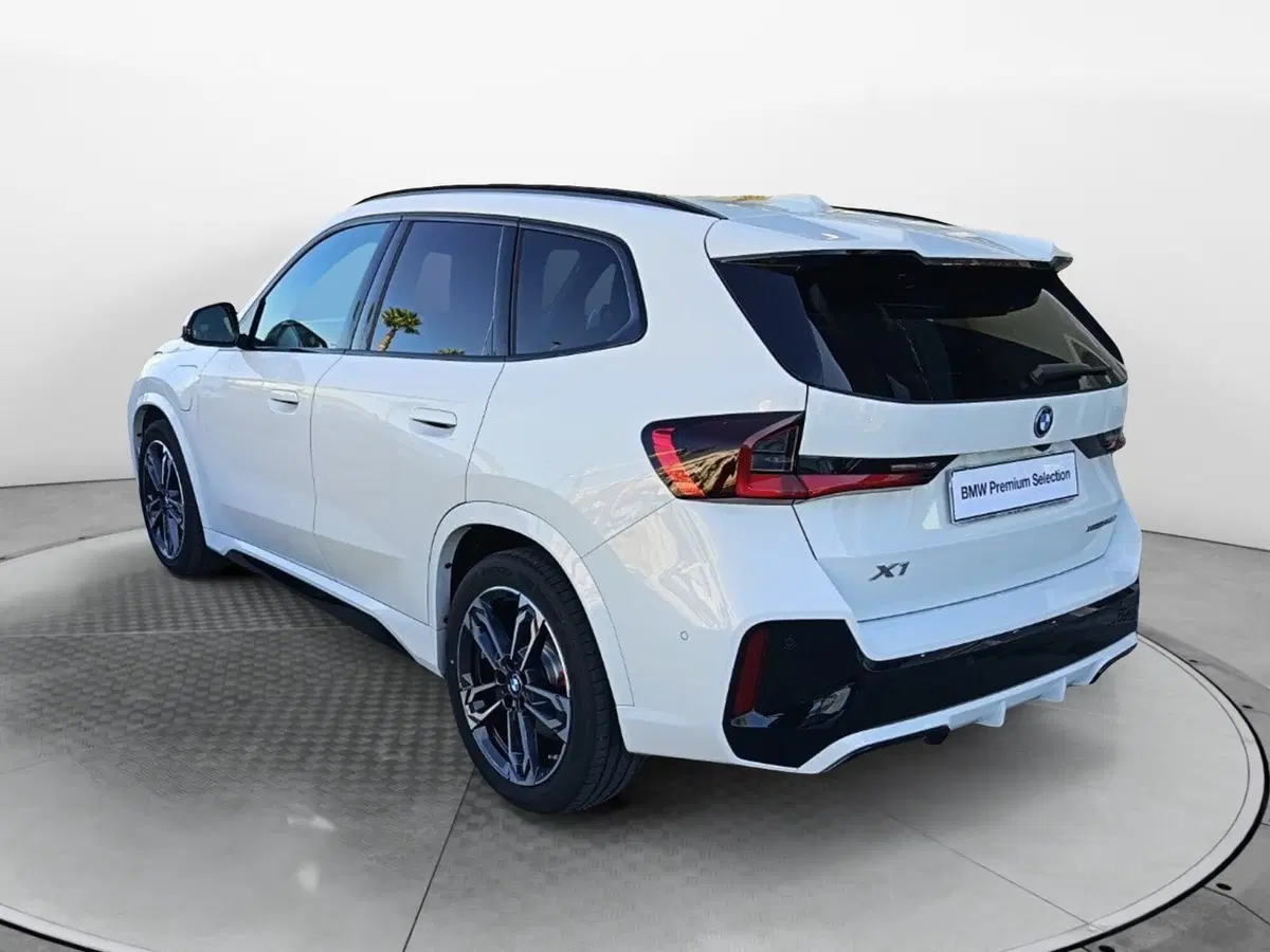 BMW X1 usata a Caserta (18)
