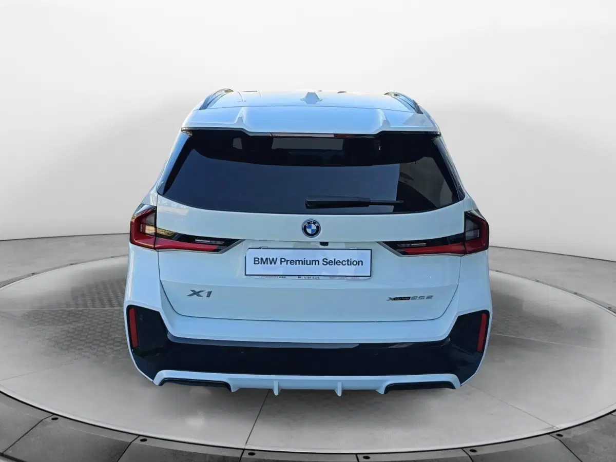 BMW X1 usata a Caserta (19)