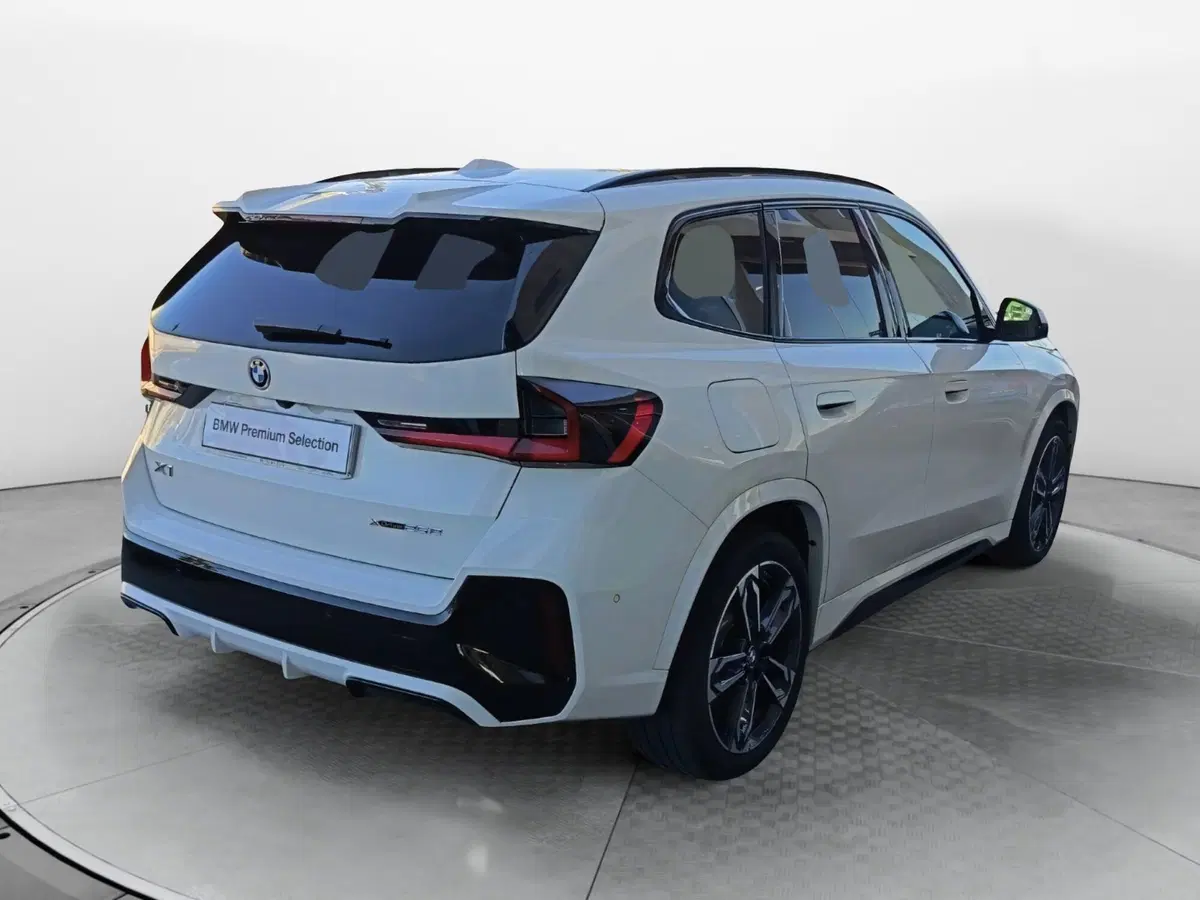 BMW X1 usata a Caserta (20)