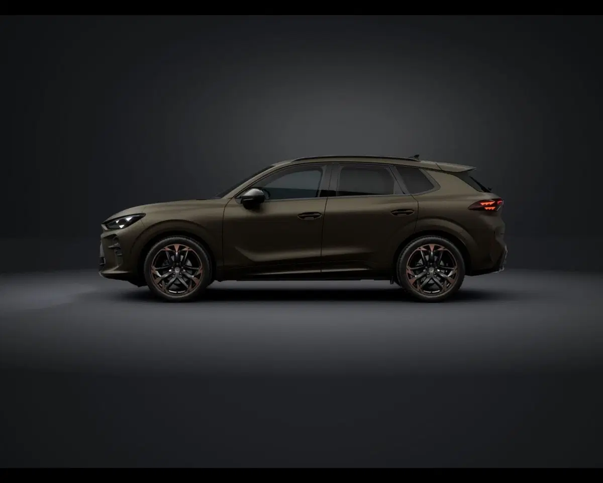 Cupra Terramar nuova a Ravenna (5)