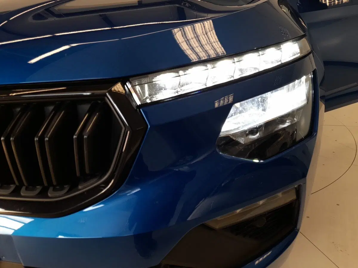 Skoda Kamiq usata a Bologna (8)