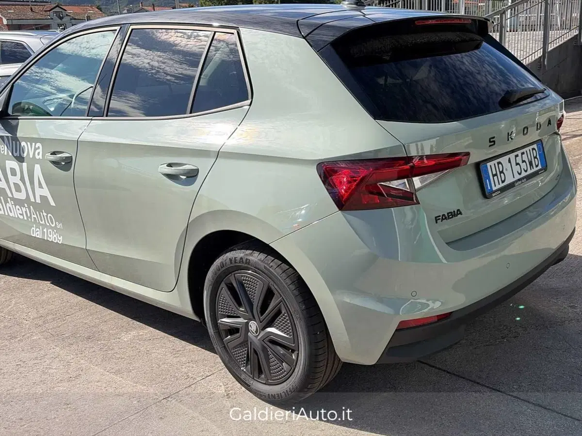 Skoda Fabia usata a Salerno (5)