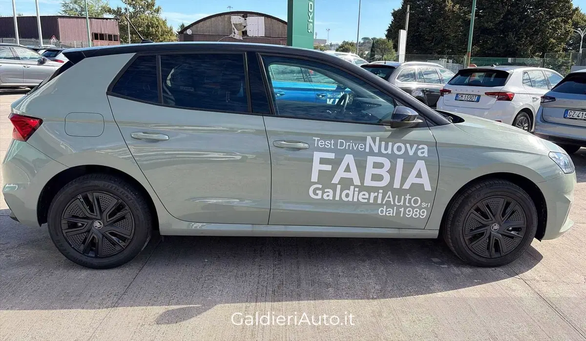 Skoda Fabia usata a Salerno (8)