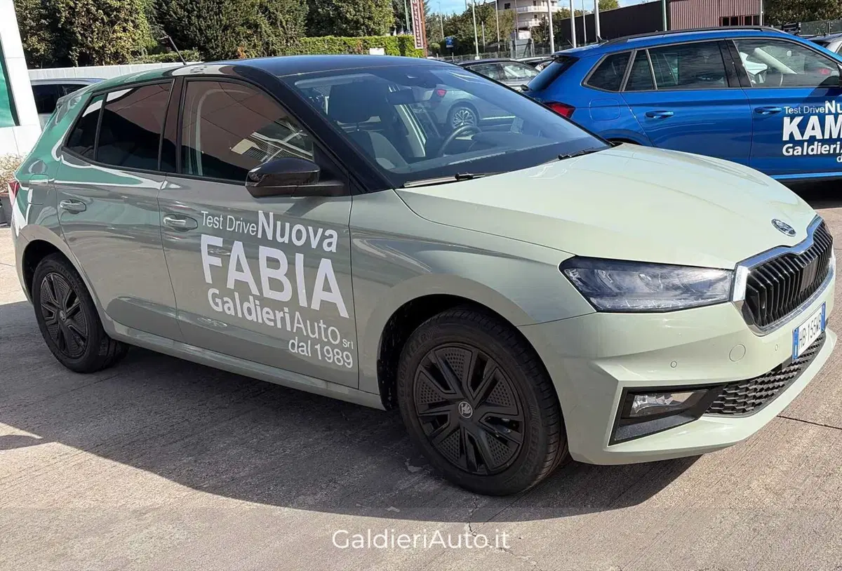 Skoda Fabia usata a Salerno (9)