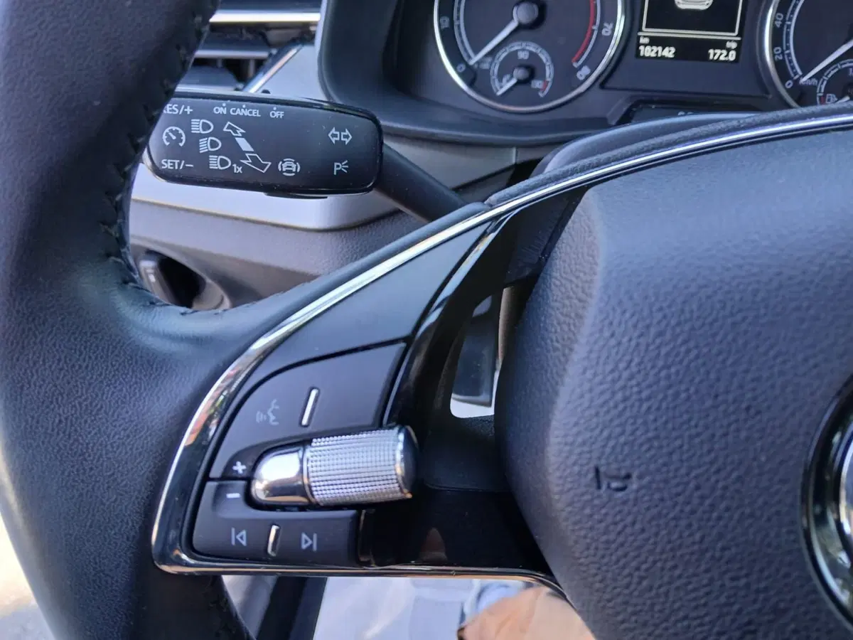 Skoda Kamiq usata a Reggio Calabria (14)