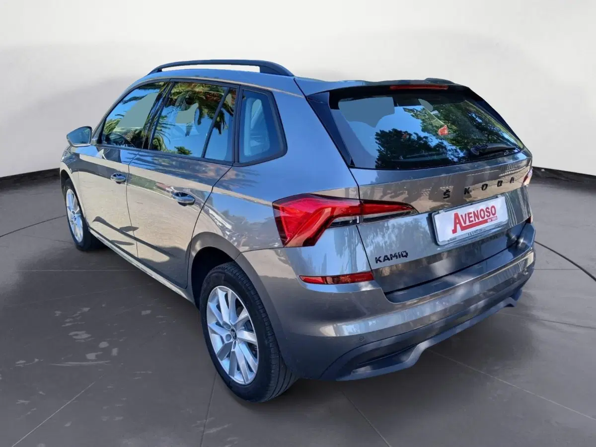 Skoda Kamiq usata a Reggio Calabria (3)