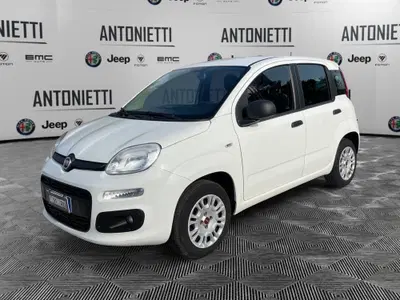 Fiat Panda 1.2 Easy del 2019 usata a Fabriano