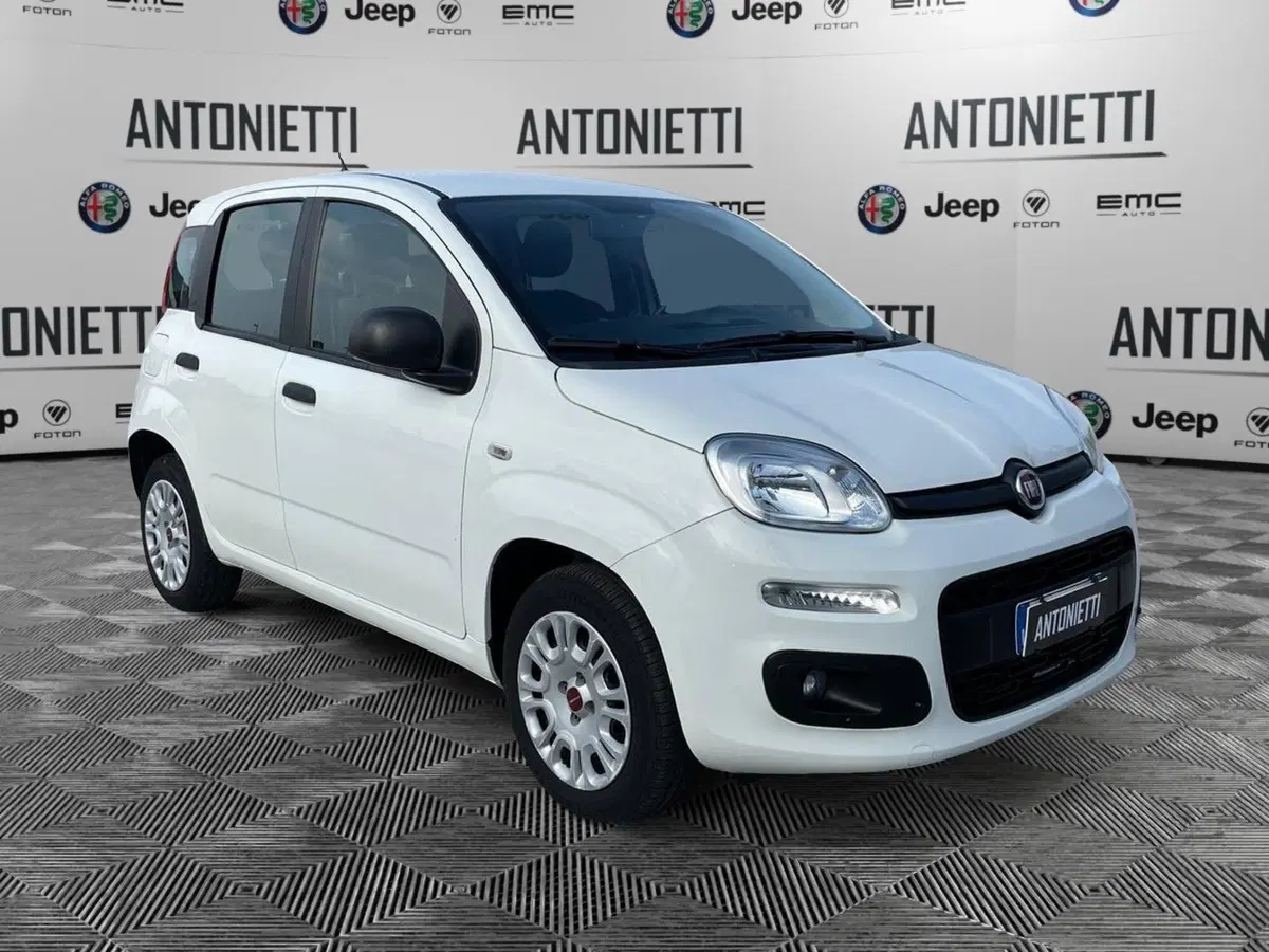 Fiat Panda usata a Ancona (3)