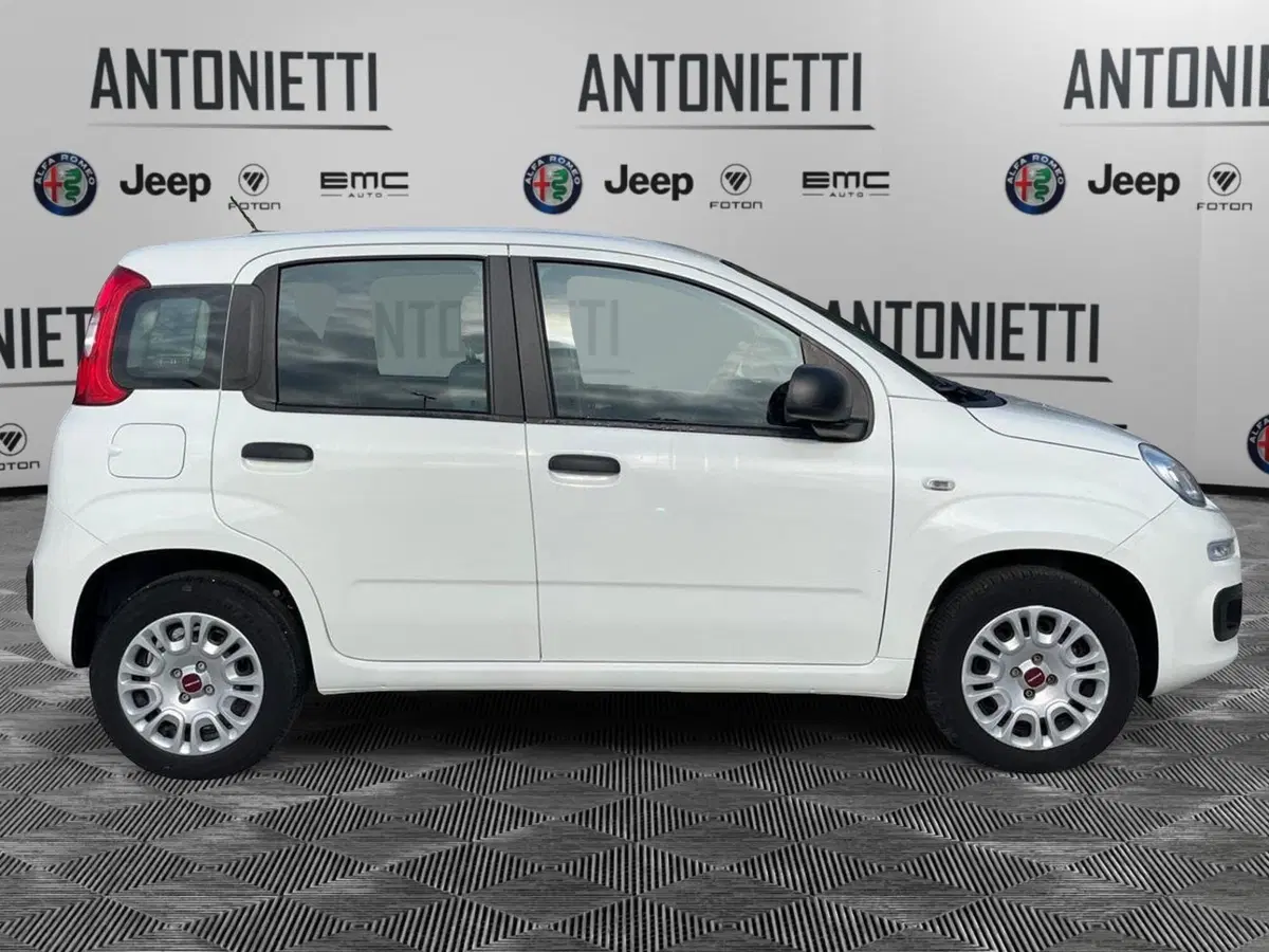 Fiat Panda usata a Ancona (4)