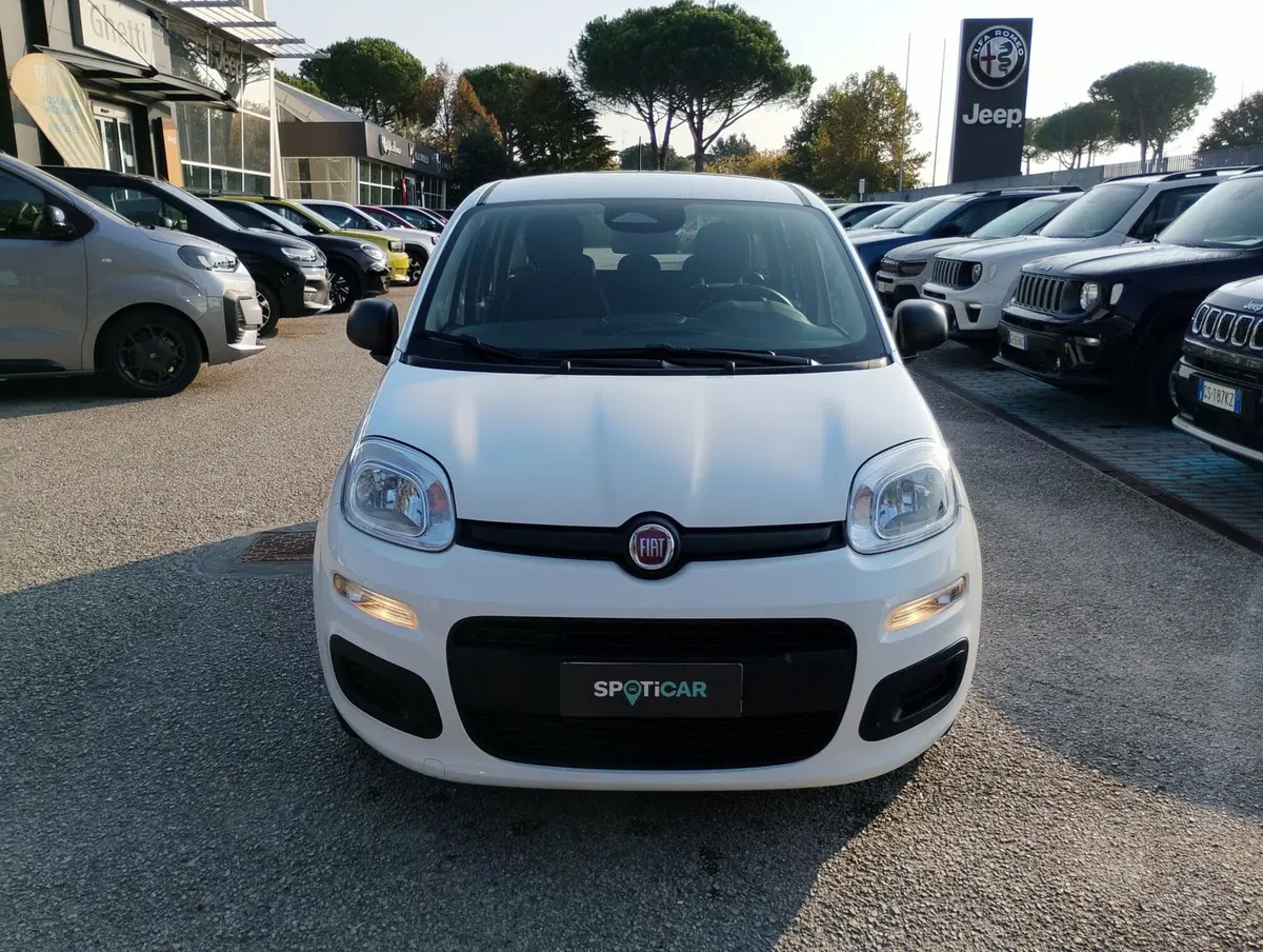 Fiat Pandina nuova a Ravenna (10)