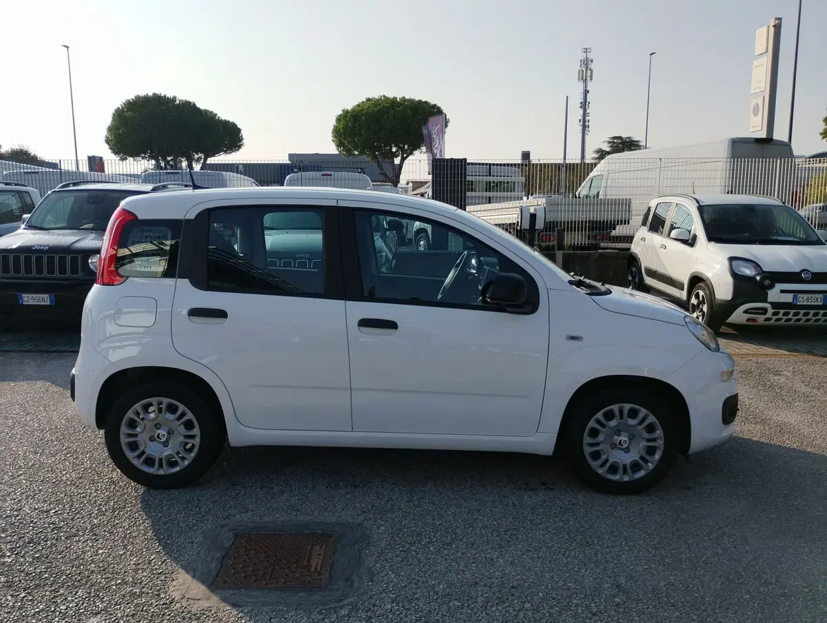 Fiat Pandina nuova a Ravenna (11)