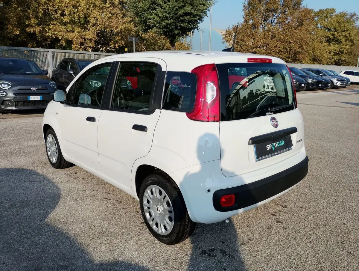 Fiat Pandina nuova a Ravenna (2)