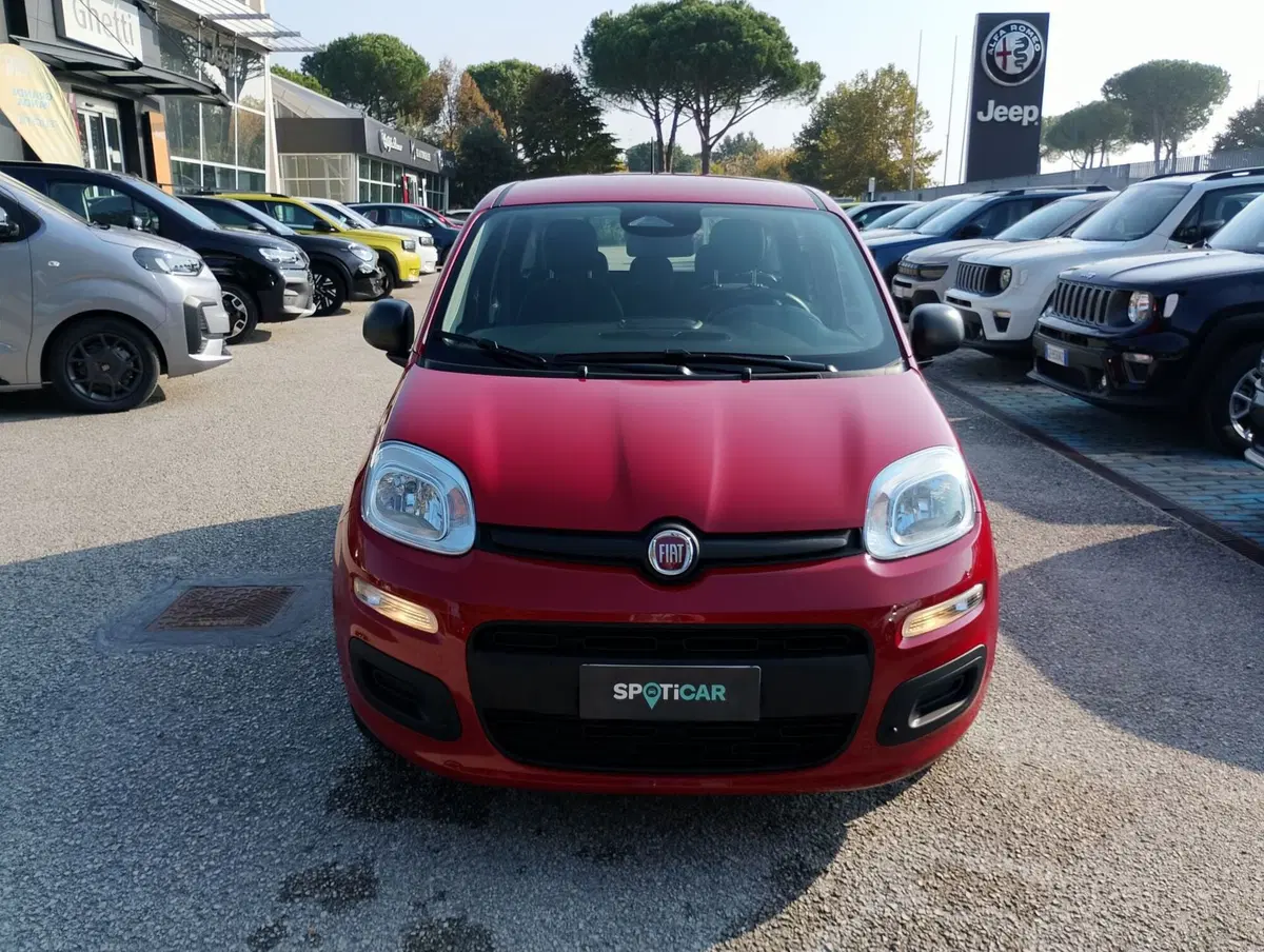 Fiat Pandina nuova a Ravenna (11)