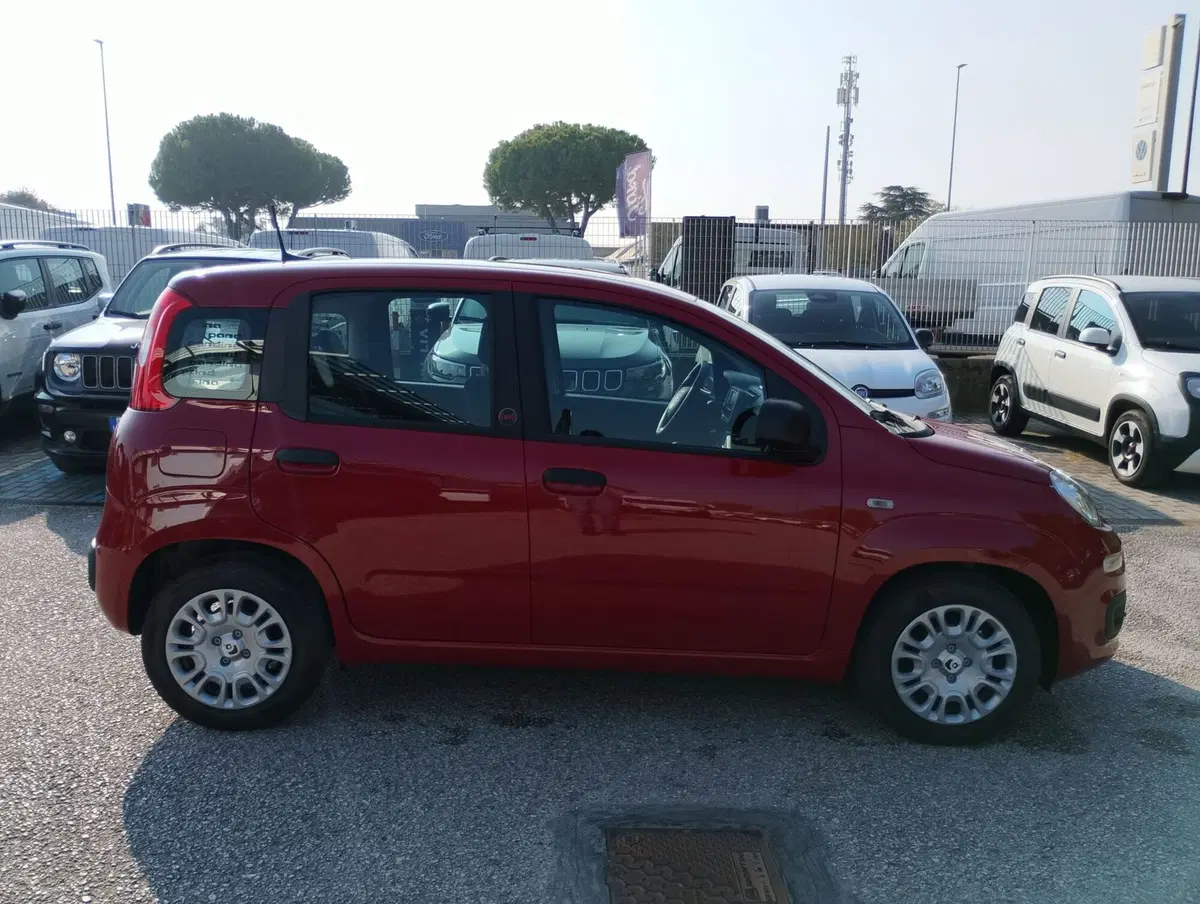 Fiat Pandina nuova a Ravenna (12)