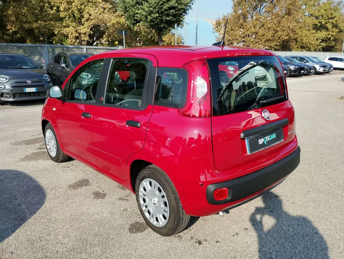 Fiat Pandina nuova a Ravenna (2)