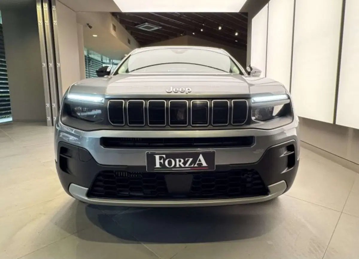 Jeep Avenger usata a Torino (2)