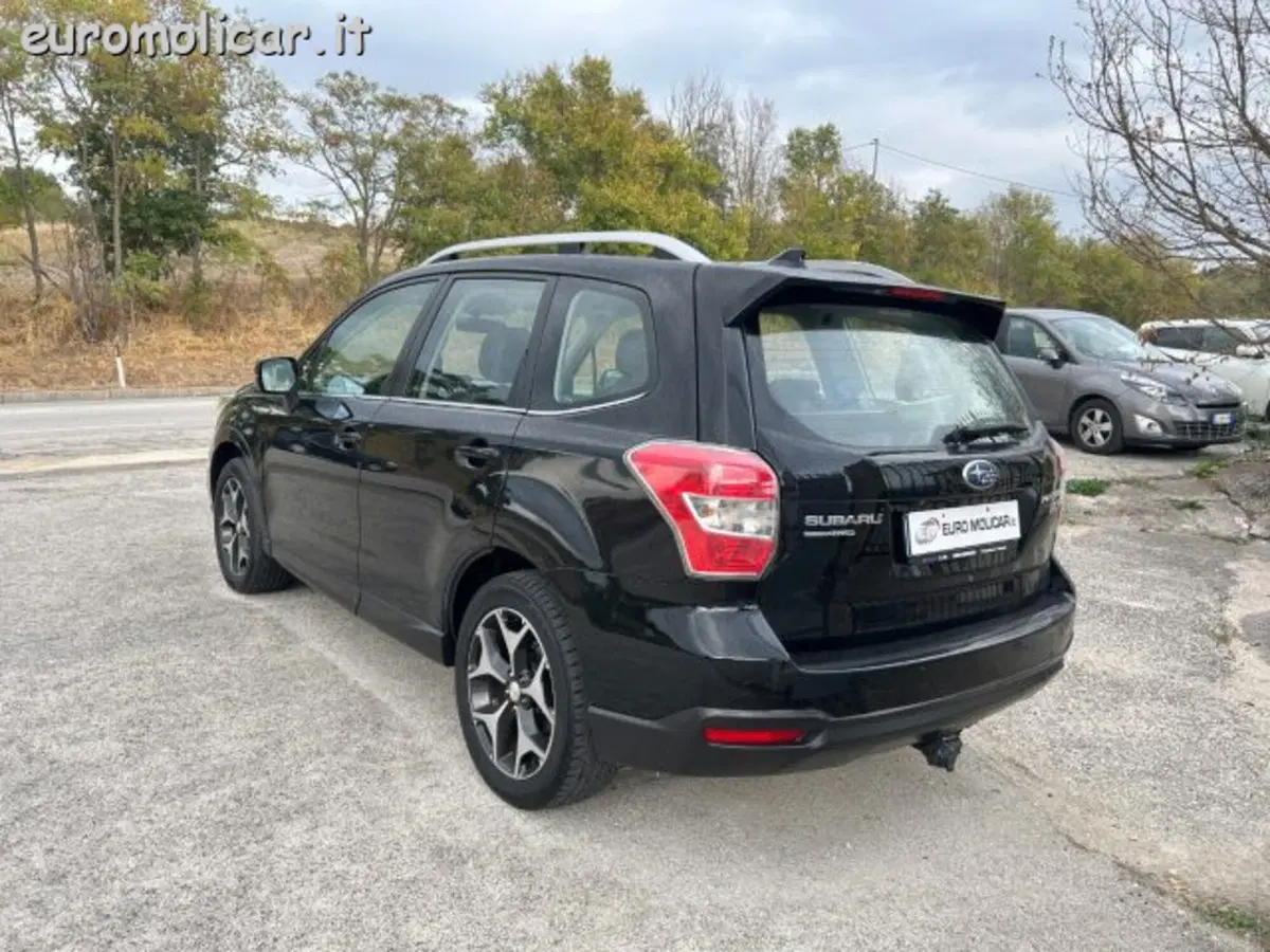 Subaru Forester usata a Campobasso (11)