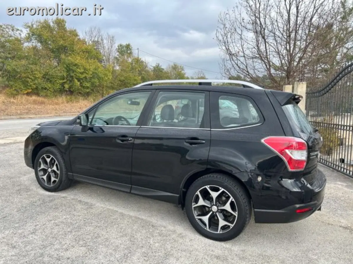 Subaru Forester usata a Campobasso (12)