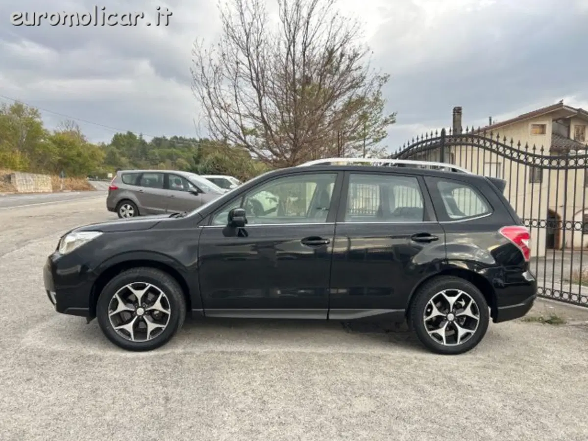 Subaru Forester usata a Campobasso (13)