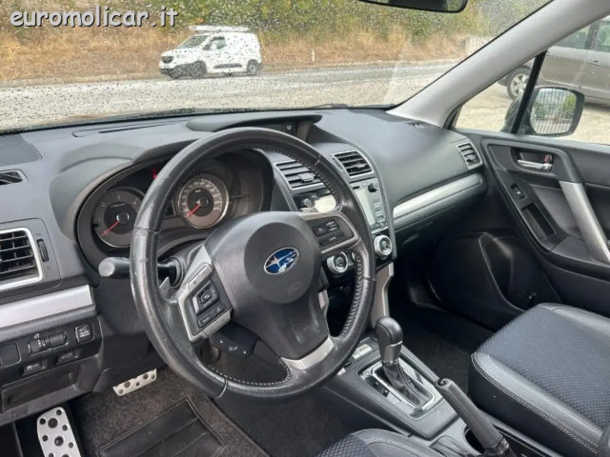 Subaru Forester usata a Campobasso (15)