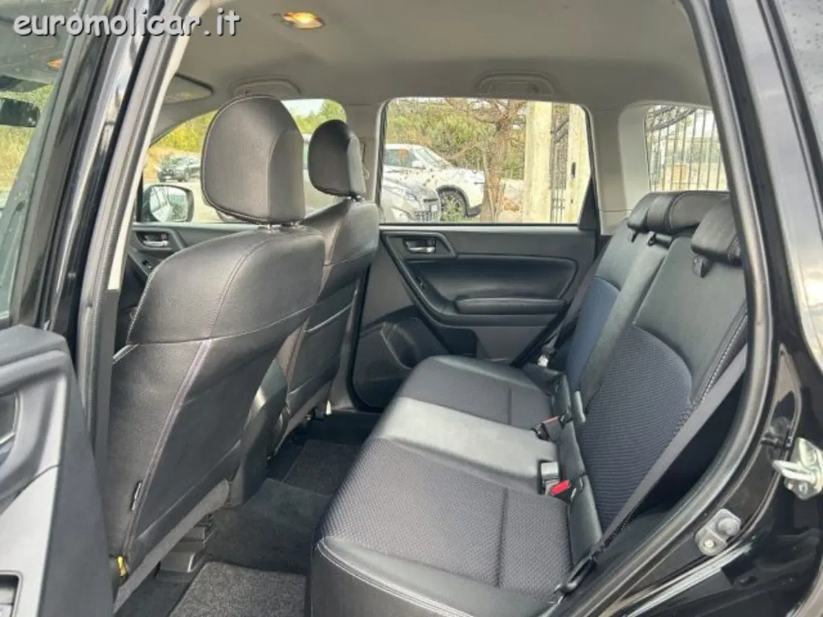 Subaru Forester usata a Campobasso (18)