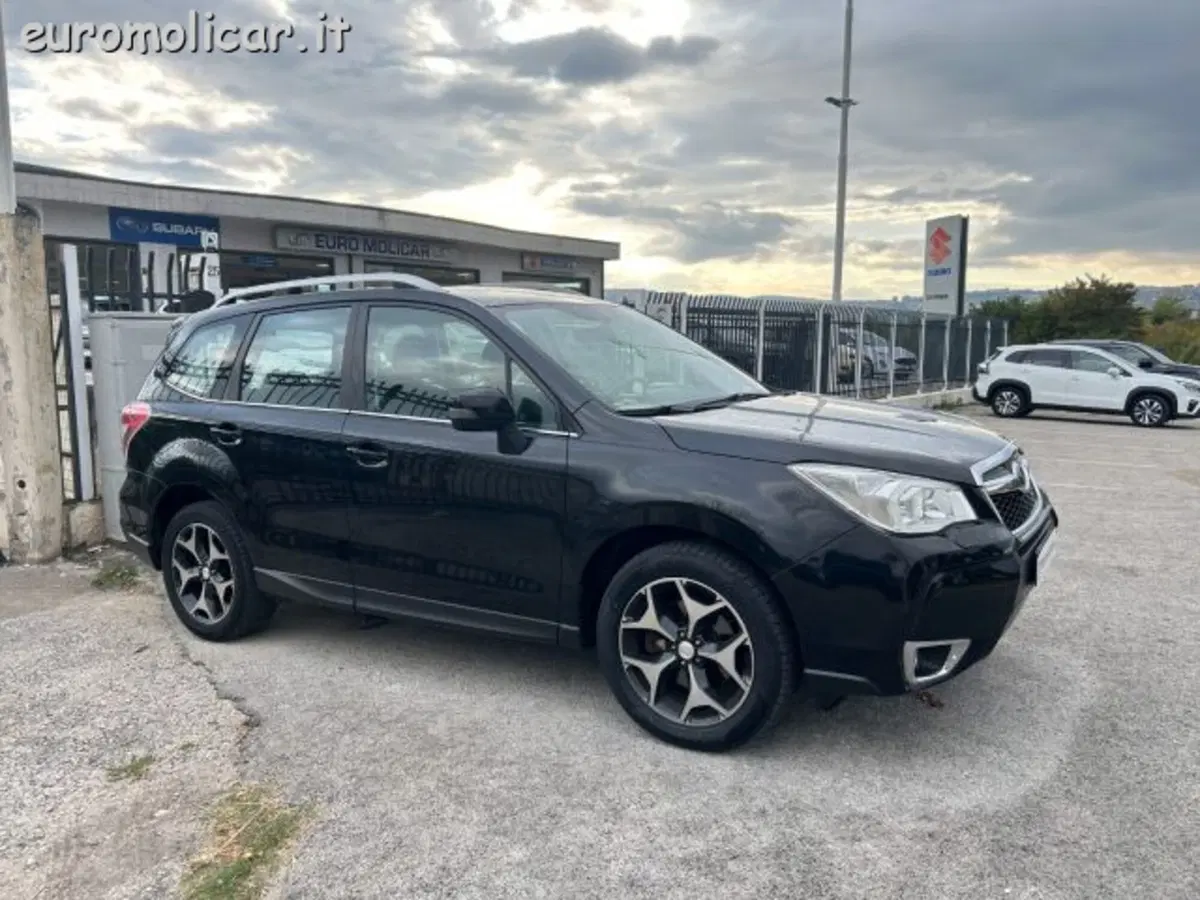 Subaru Forester usata a Campobasso (5)