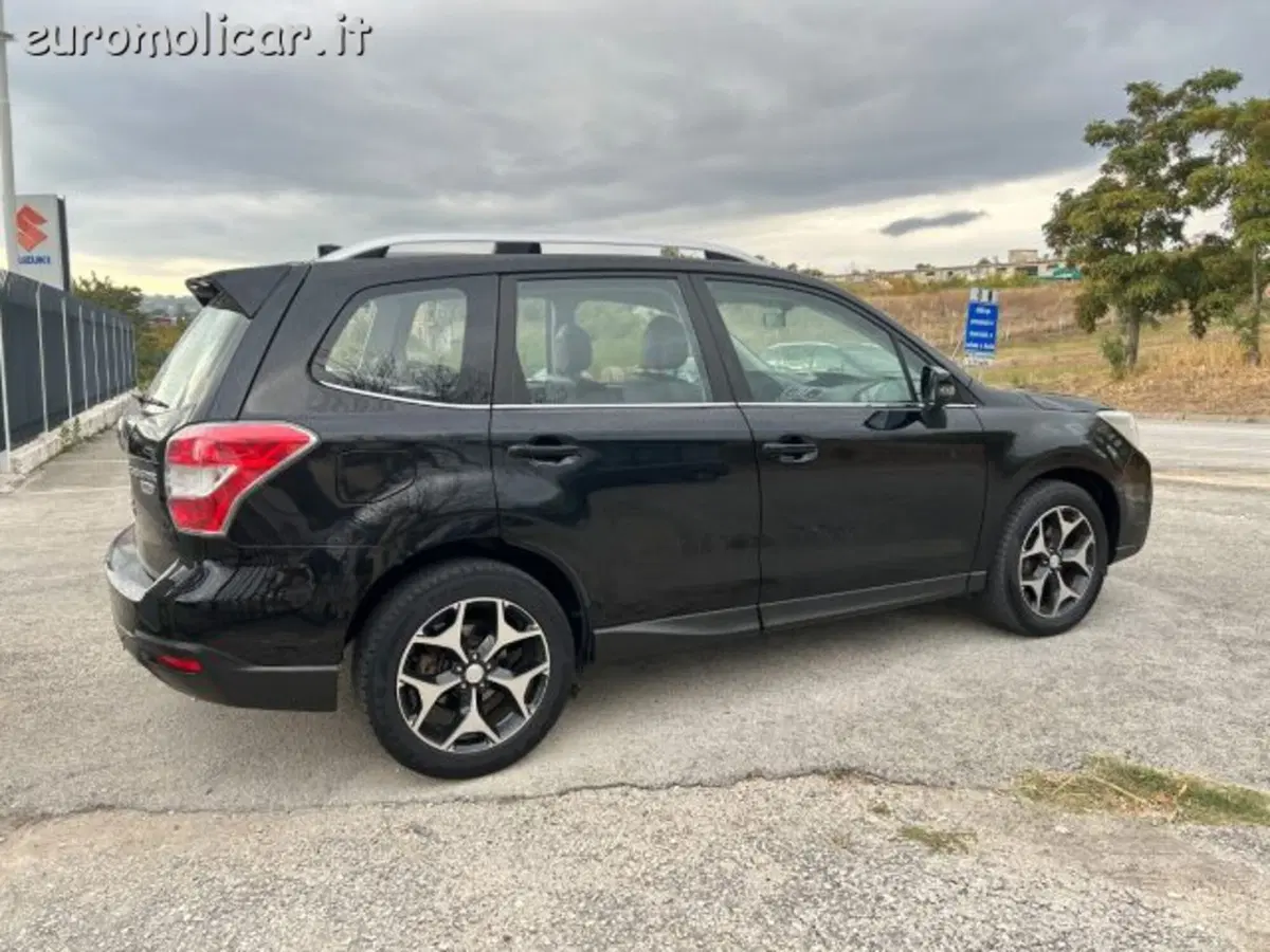 Subaru Forester usata a Campobasso (8)