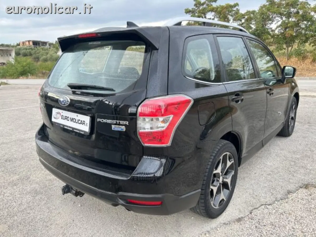 Subaru Forester usata a Campobasso (9)