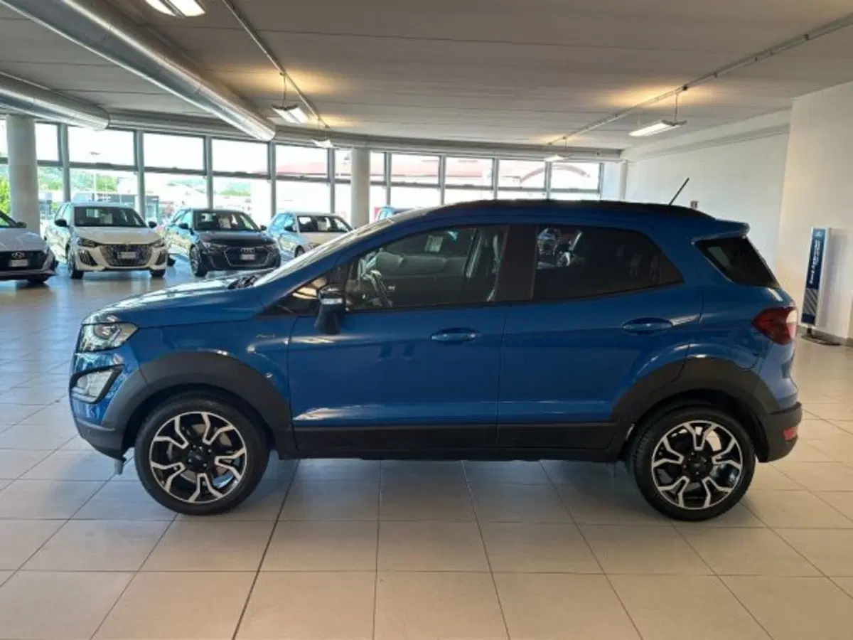 Ford EcoSport usata a Cuneo (4)