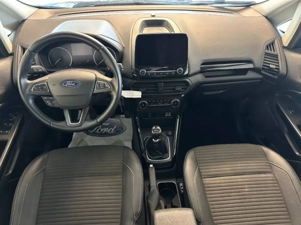 Ford EcoSport usata a Cuneo (10)