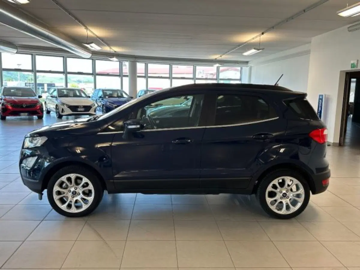Ford EcoSport usata a Cuneo (4)
