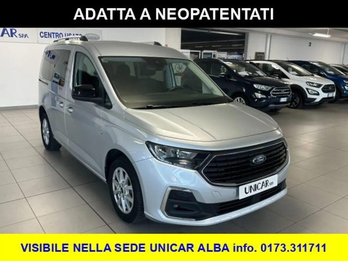 Ford Tourneo Connect usata a Cuneo (3)