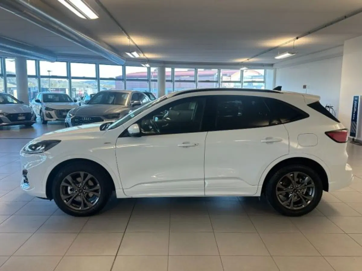 Ford Kuga usata a Cuneo (4)