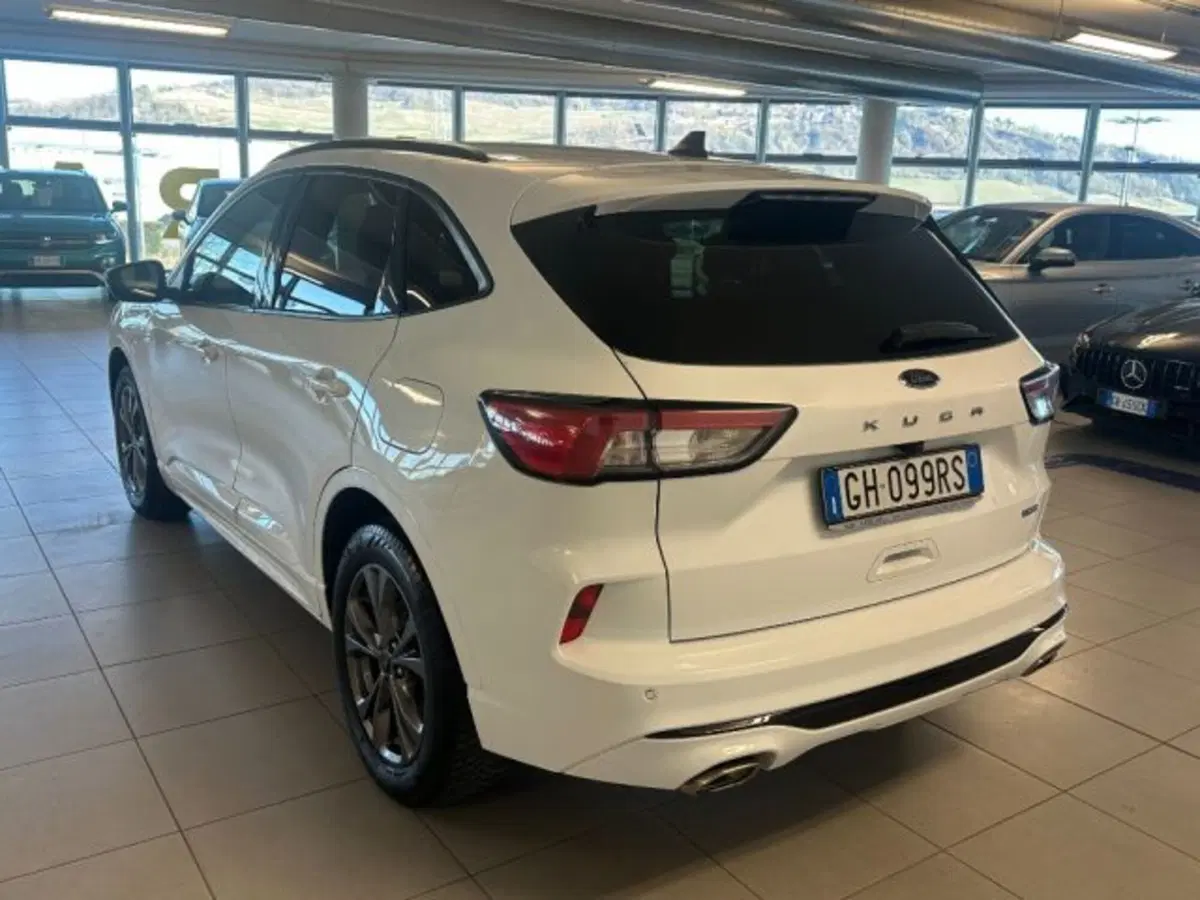 Ford Kuga usata a Cuneo (5)