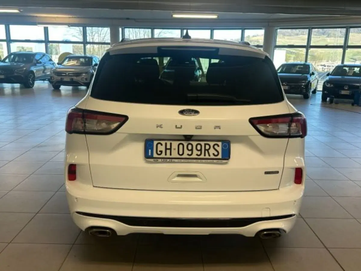 Ford Kuga usata a Cuneo (6)