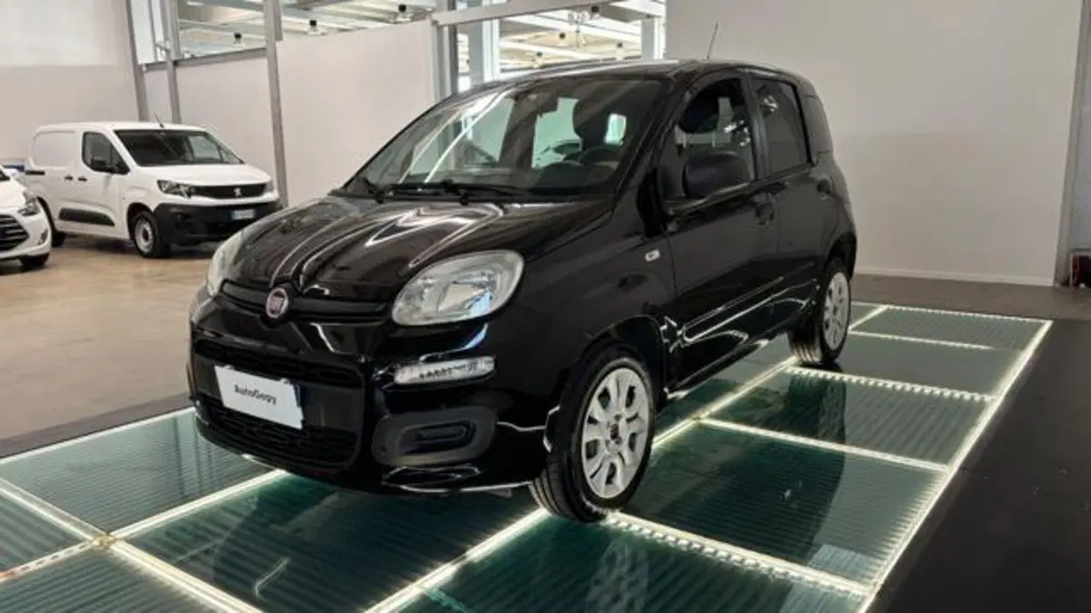 Fiat Panda usata a Reggio Emilia (2)