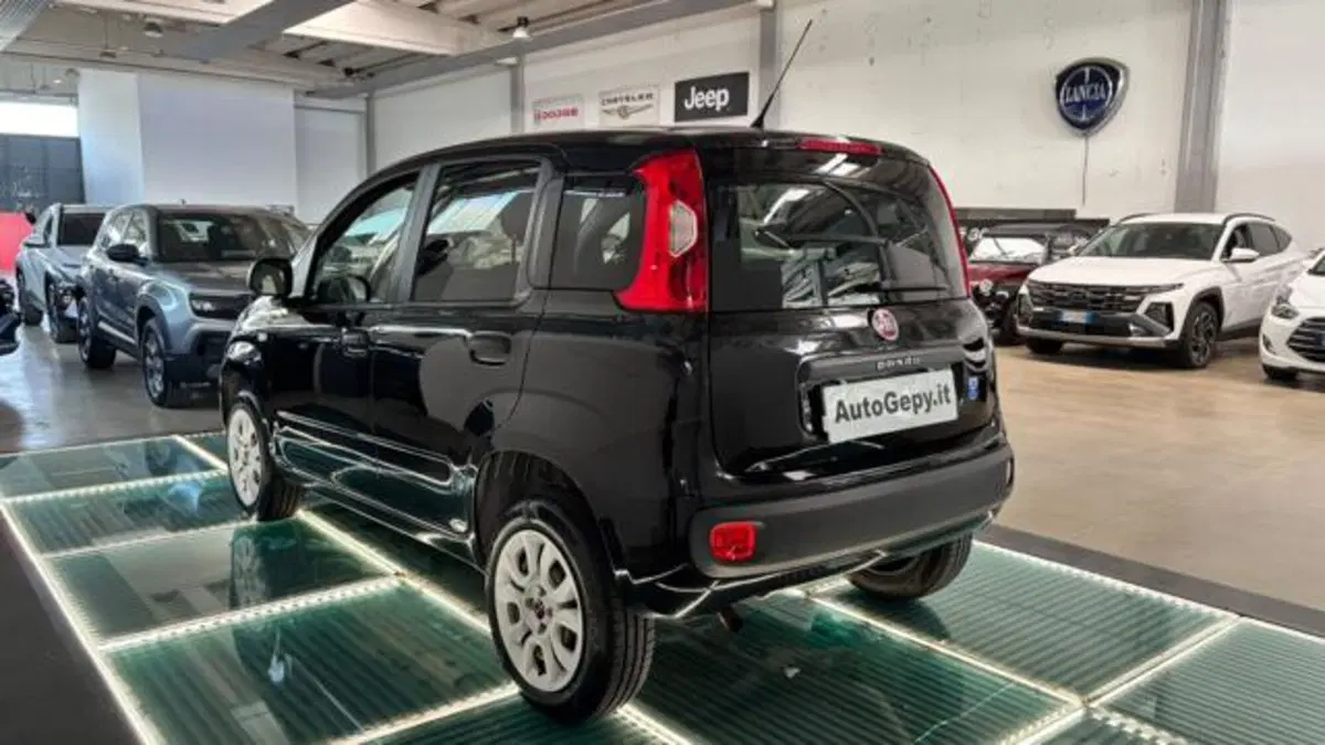 Fiat Panda usata a Reggio Emilia (3)