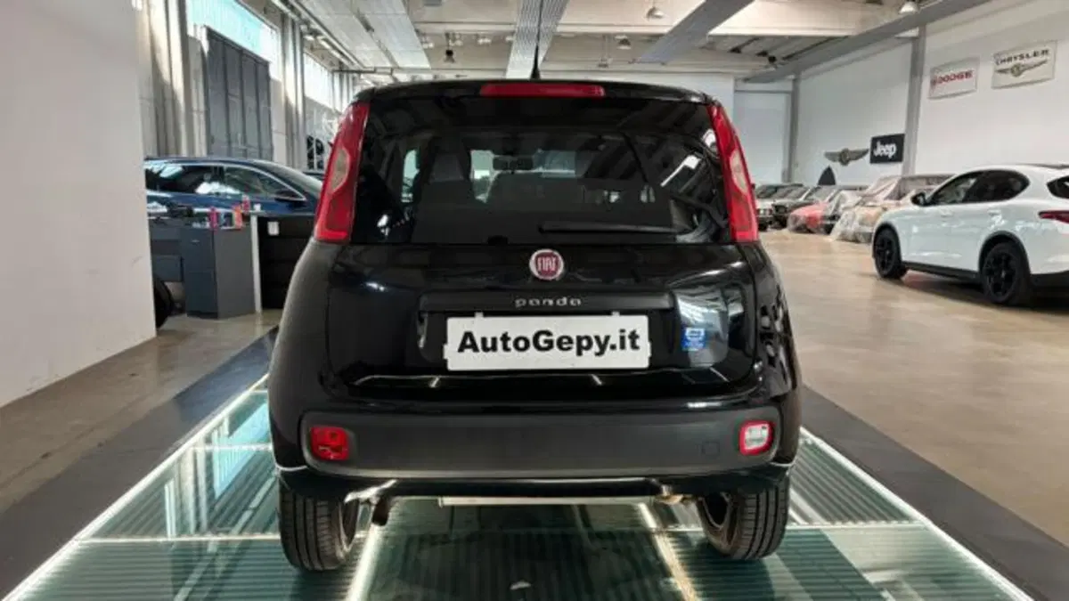 Fiat Panda usata a Reggio Emilia (4)