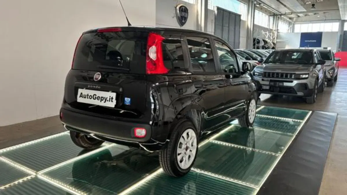 Fiat Panda usata a Reggio Emilia (5)