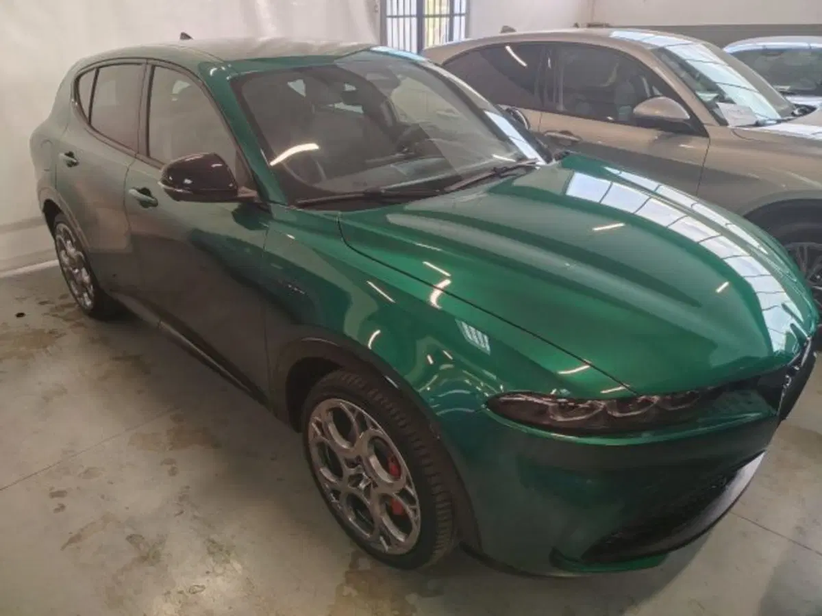 Alfa Romeo Tonale usata a Forlì-Cesena (10)