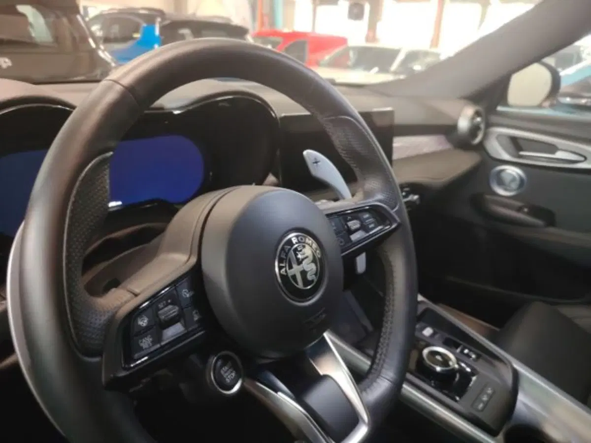 Alfa Romeo Tonale usata a Forlì-Cesena (18)