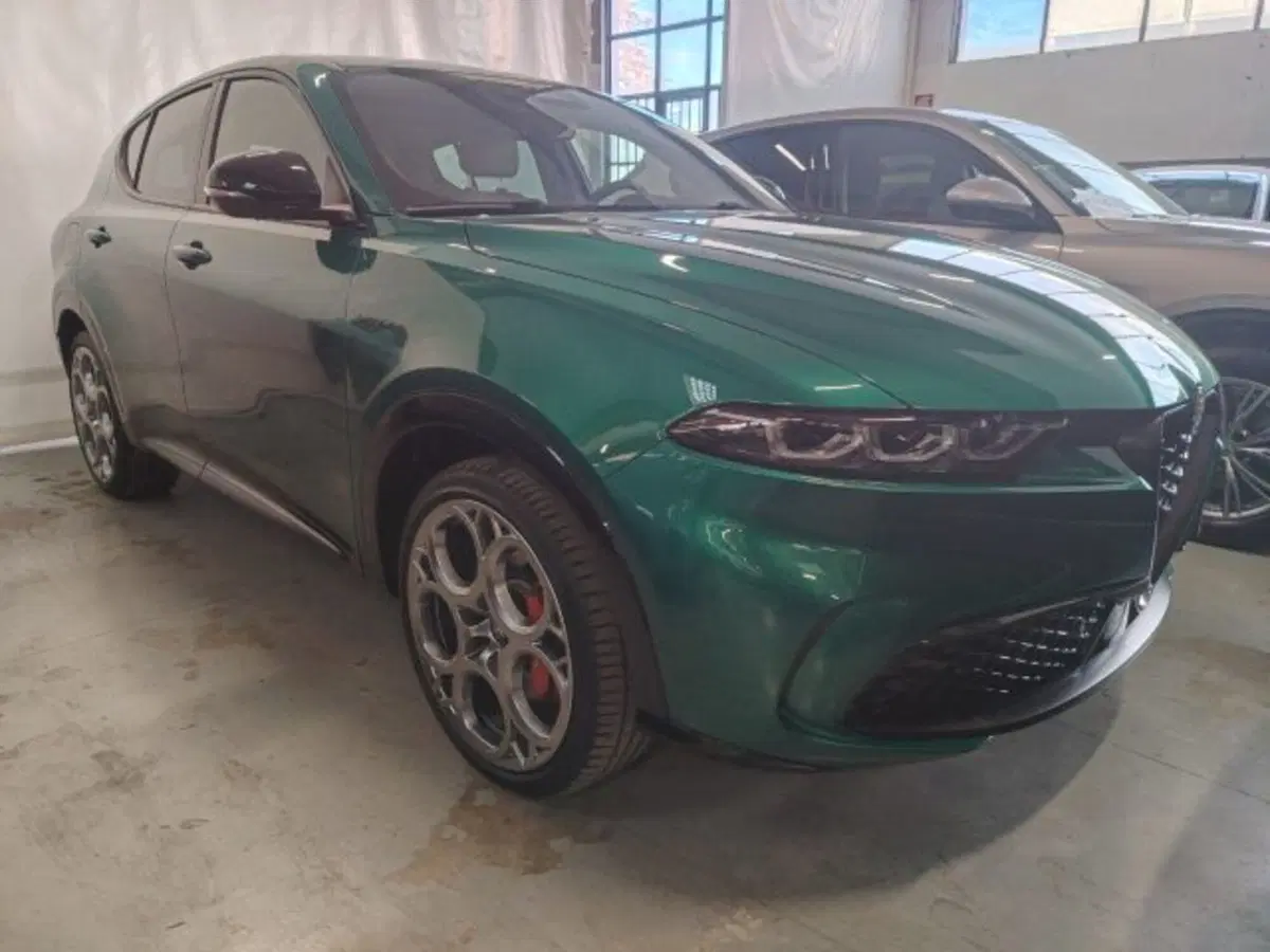 Alfa Romeo Tonale usata a Forlì-Cesena (3)