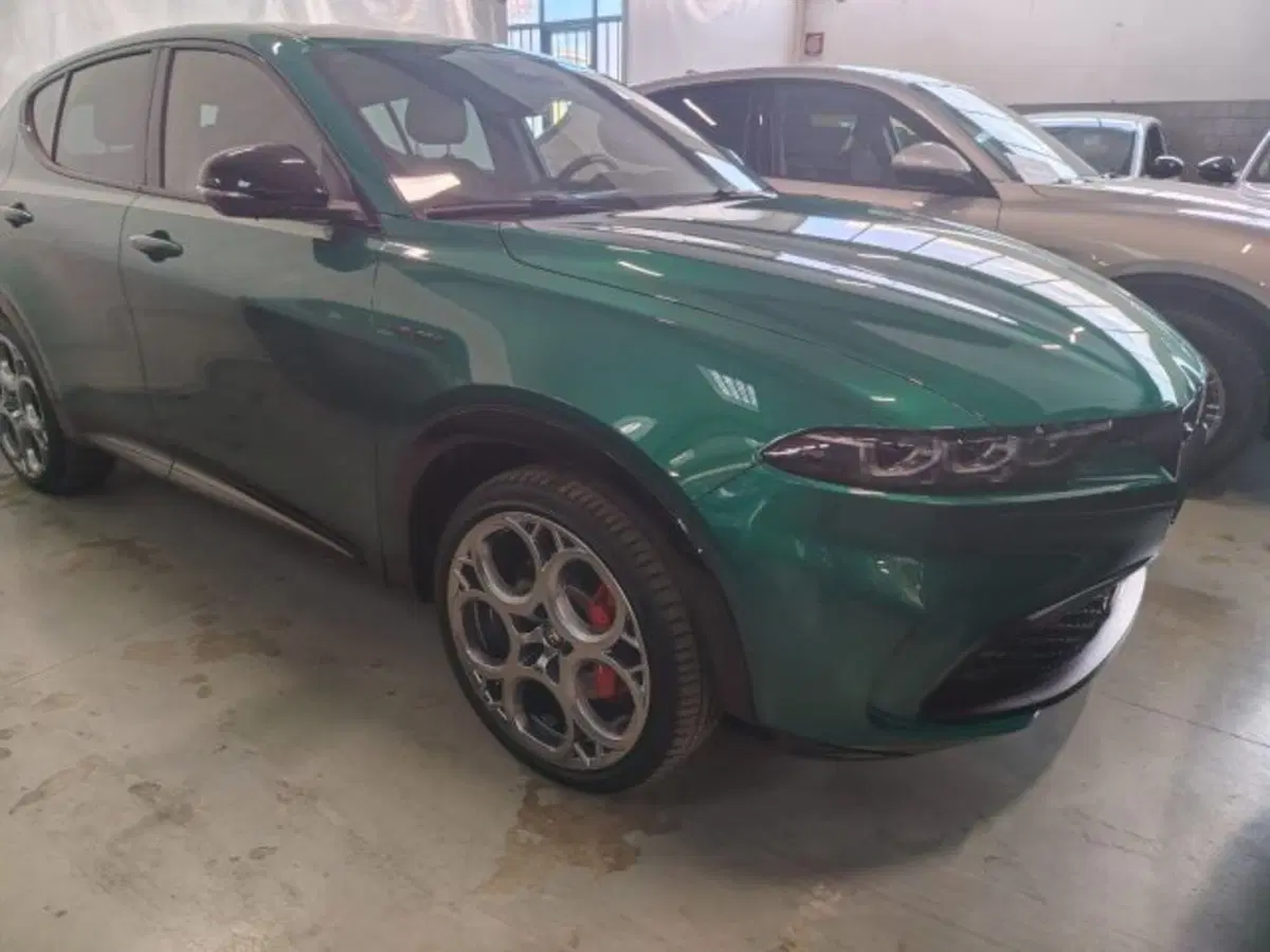Alfa Romeo Tonale usata a Forlì-Cesena (4)