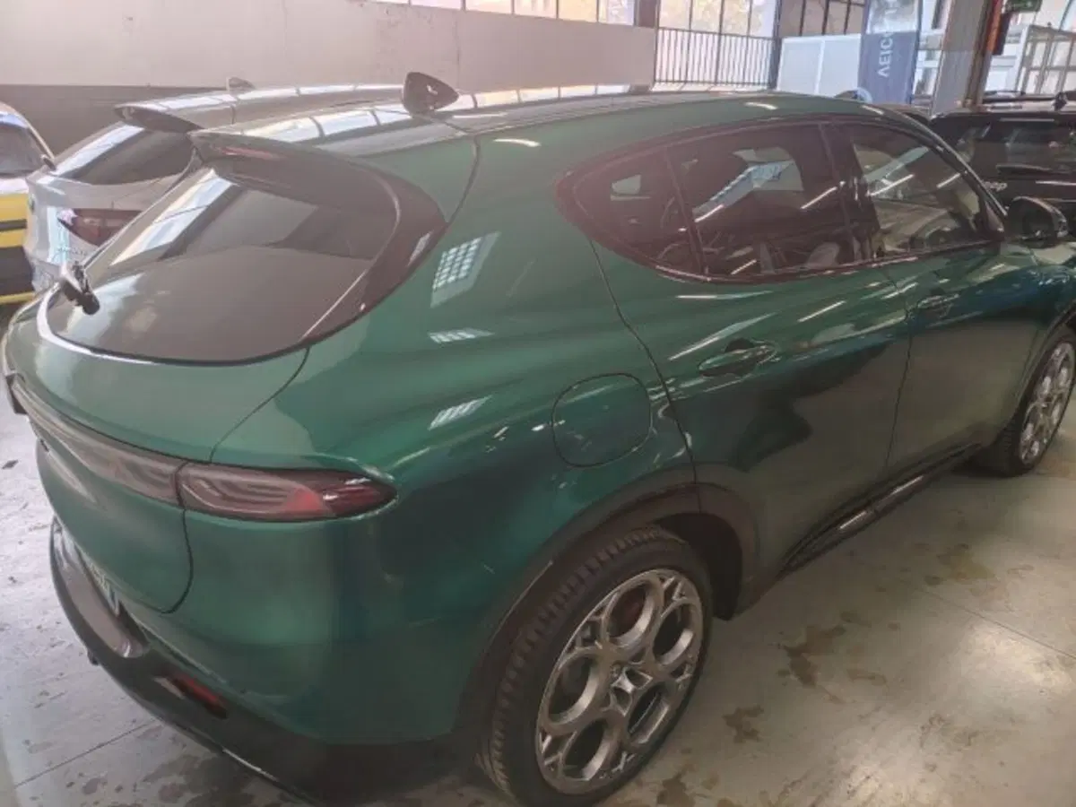 Alfa Romeo Tonale usata a Forlì-Cesena (8)