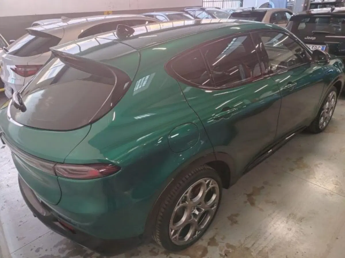 Alfa Romeo Tonale usata a Forlì-Cesena (9)