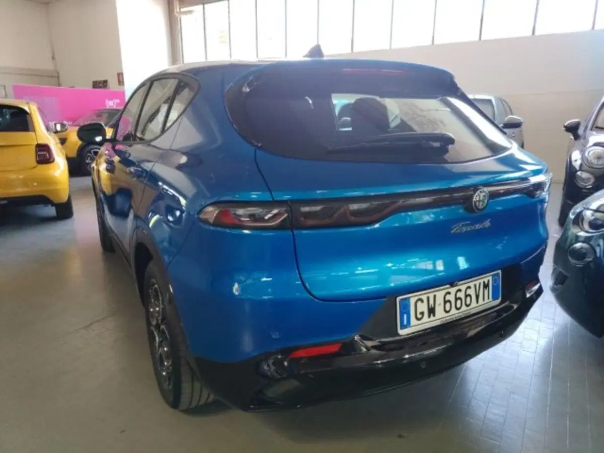 Alfa Romeo Tonale usata a Forlì-Cesena (7)