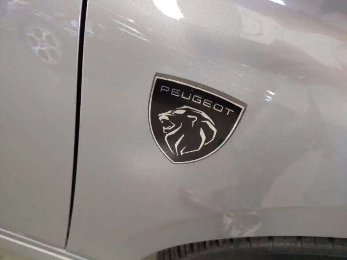 Peugeot 308 SW usata a Forlì-Cesena (13)